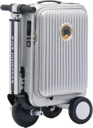 Expandable Smart Luggage,Hardside Rideable Suitcase PC ABS Durable Electric Luggage Riding Mode & Pulling Mode TSA Lock Solid Wheels 21 Inch Travel Suitcase Luggage,Checked (threaded silver)