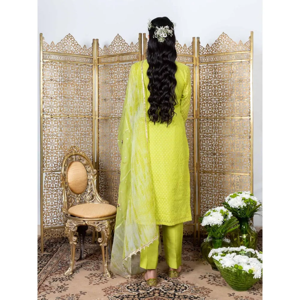 Nadima Saqib Green Embroidered Kurta (Set of 3)